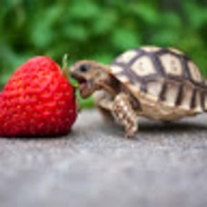 Meet your Posher, Jenni